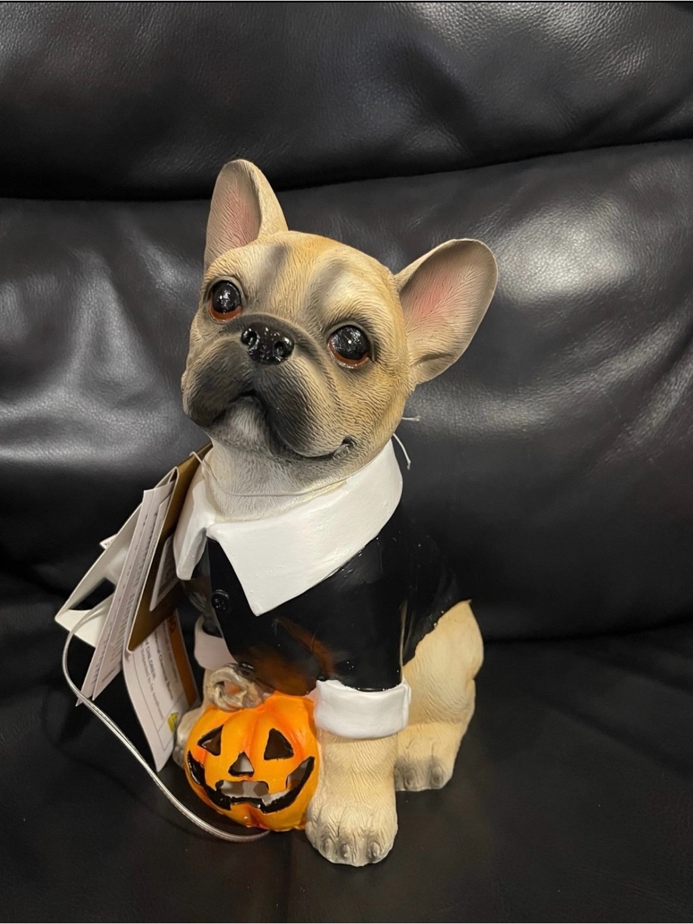 Halloween Dog Decor with LED light